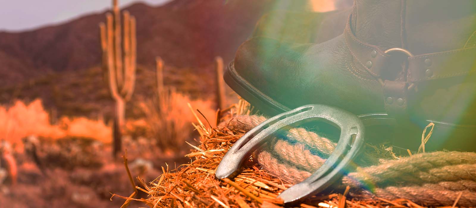 Health and lifestyle